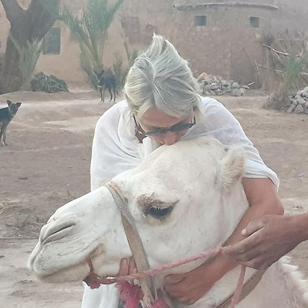 Gite Kasbah La Palmeraie Hotel Skoura Buitenkant foto