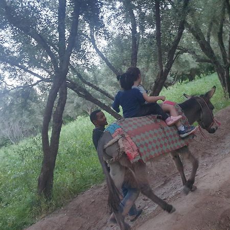 Gite Kasbah La Palmeraie Hotel Skoura Buitenkant foto