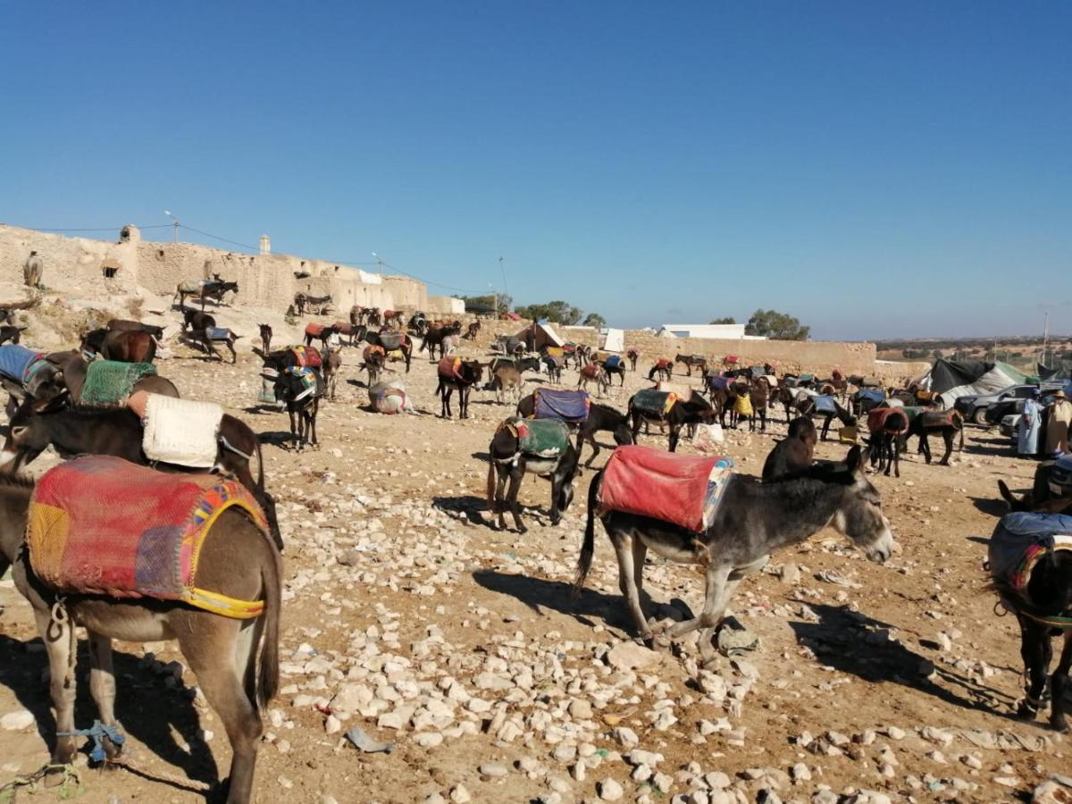 Gite Kasbah La Palmeraie Hotel Skoura Buitenkant foto