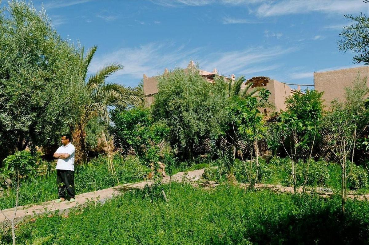 Gite Kasbah La Palmeraie Hotel Skoura Buitenkant foto