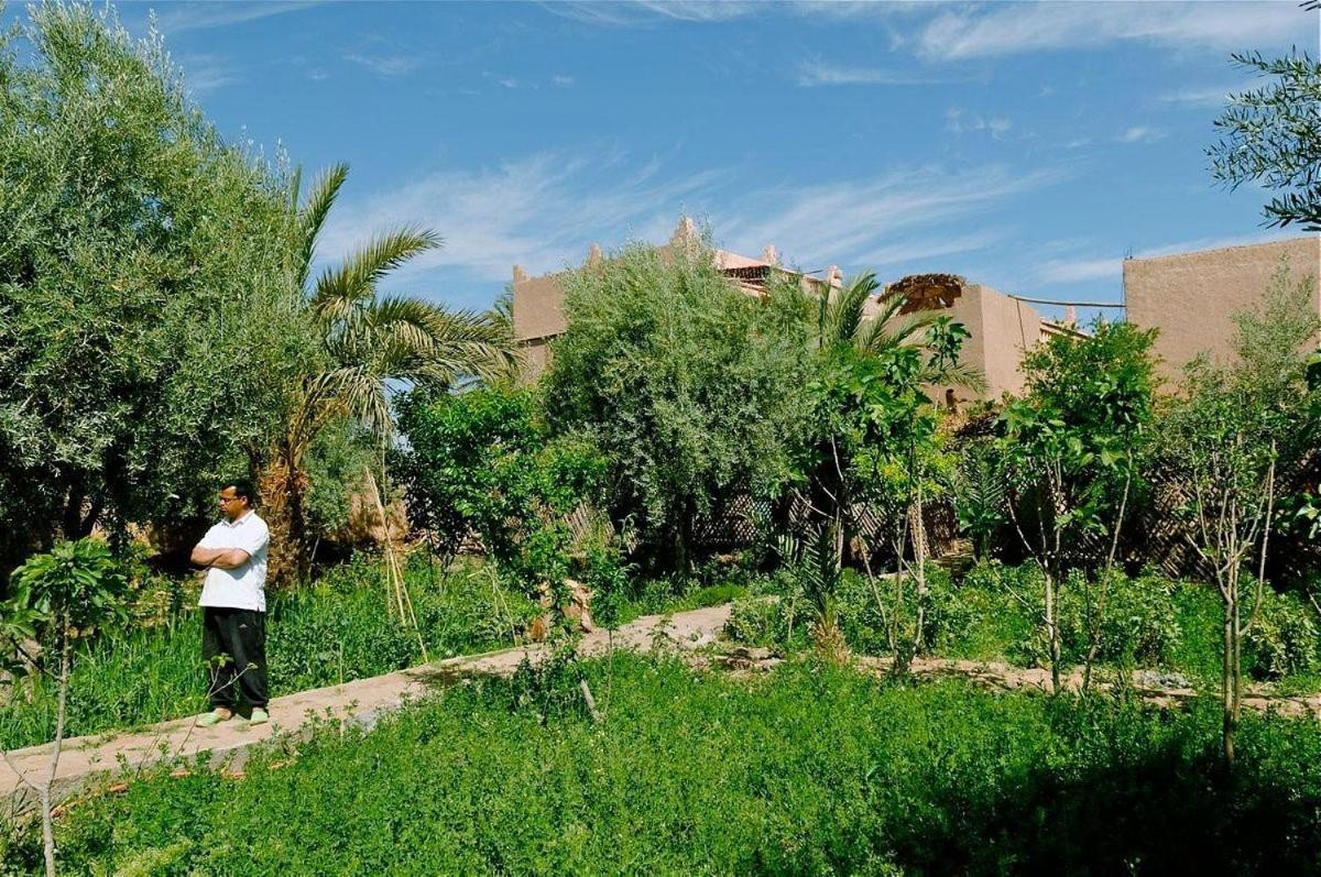 Gite Kasbah La Palmeraie Skoura Buitenkant foto