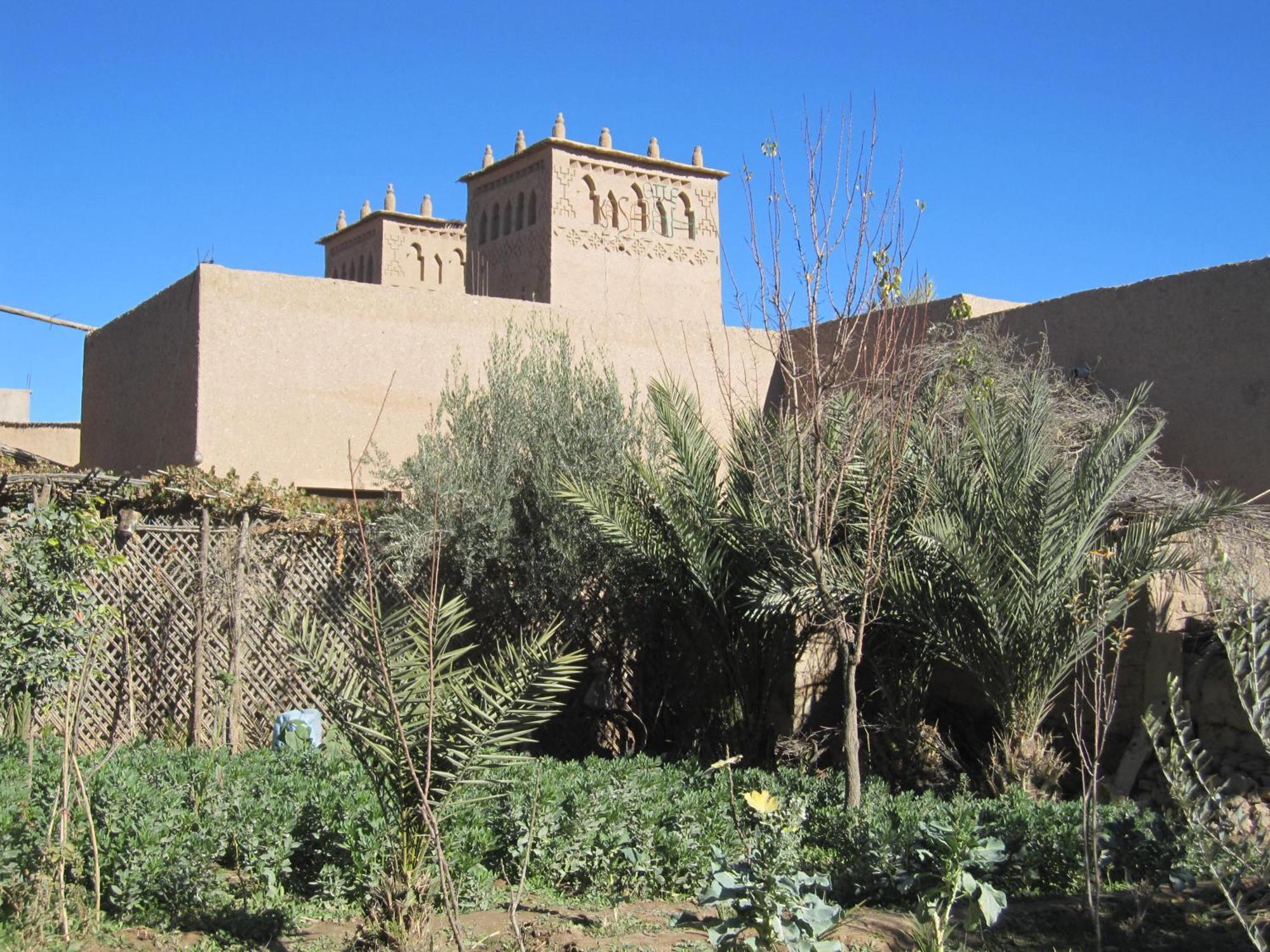 Gite Kasbah La Palmeraie Hotel Skoura Buitenkant foto