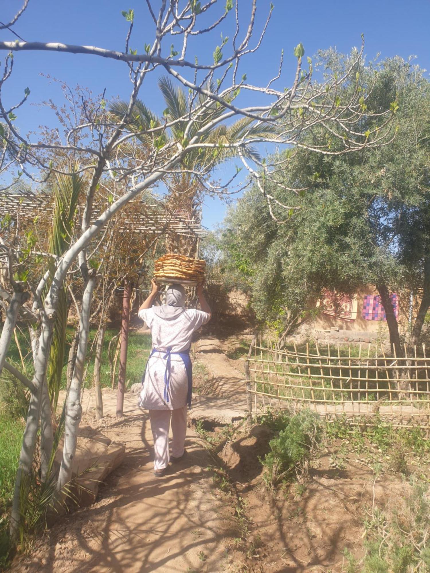 Gite Kasbah La Palmeraie Skoura Buitenkant foto