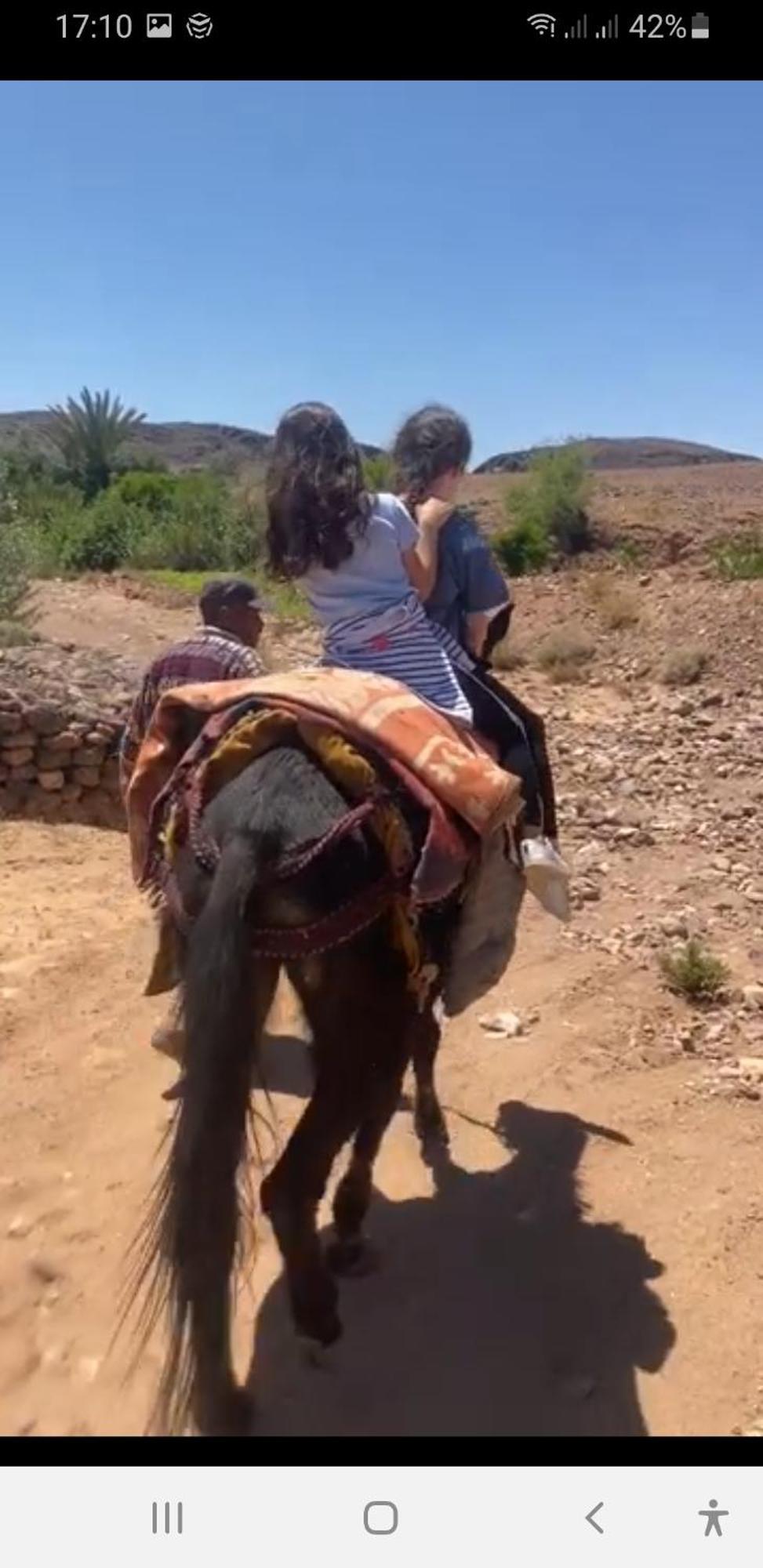 Gite Kasbah La Palmeraie Hotel Skoura Buitenkant foto