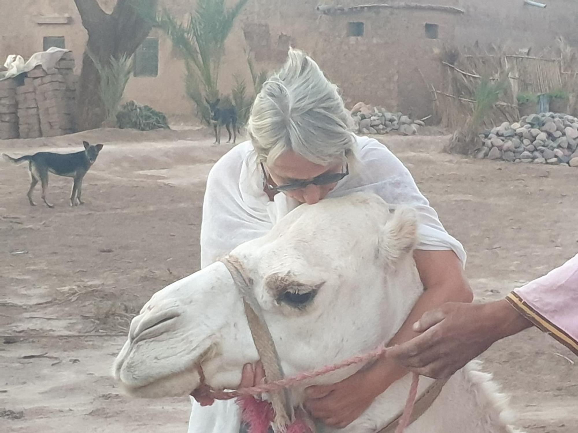 Gite Kasbah La Palmeraie Hotel Skoura Buitenkant foto