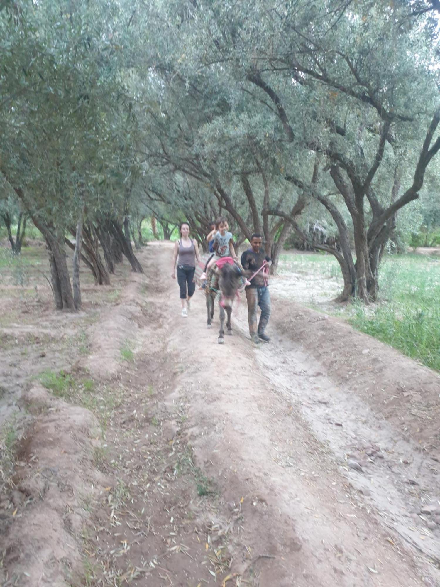 Gite Kasbah La Palmeraie Skoura Buitenkant foto