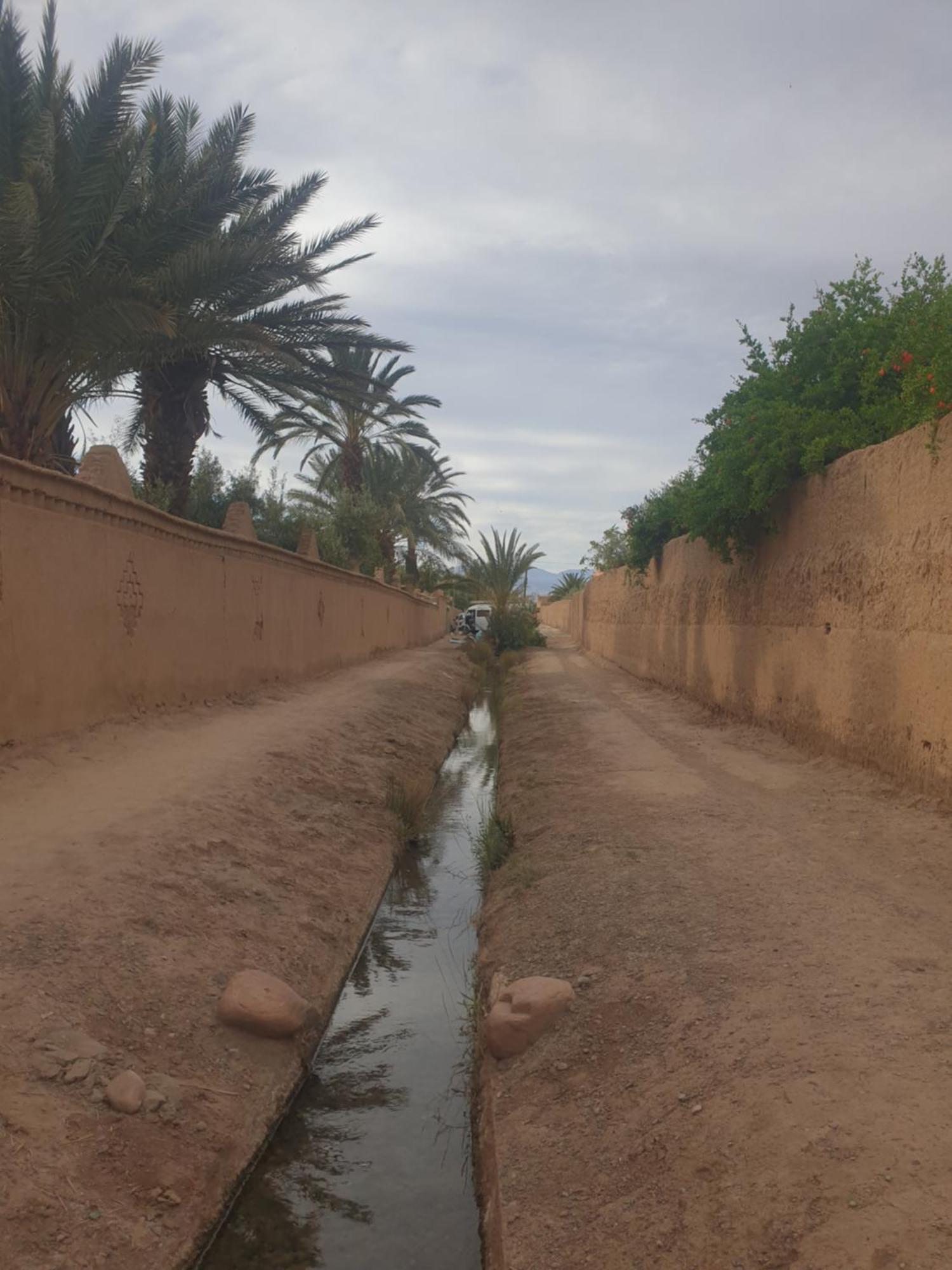 Gite Kasbah La Palmeraie Hotel Skoura Buitenkant foto