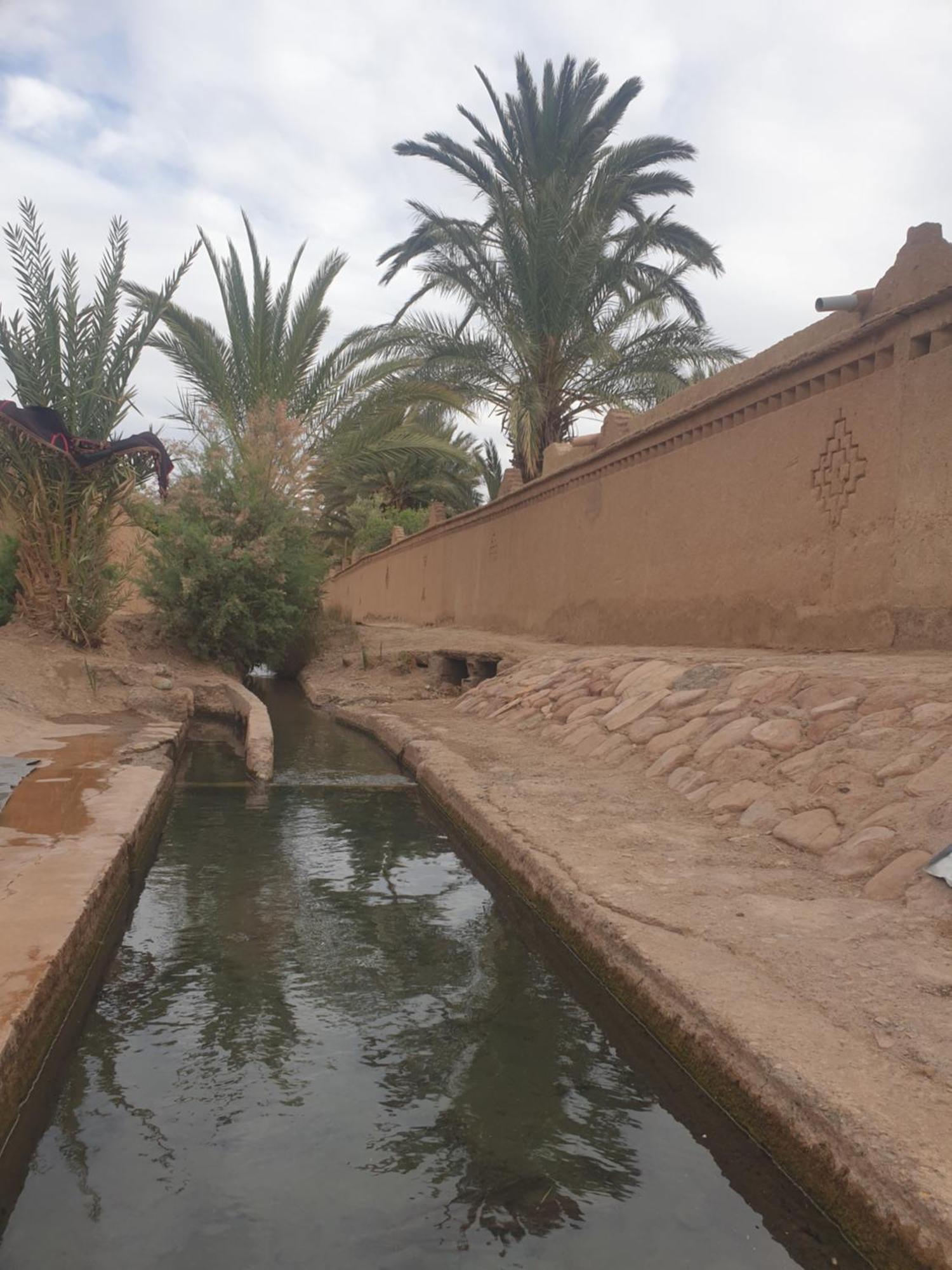 Gite Kasbah La Palmeraie Hotel Skoura Buitenkant foto