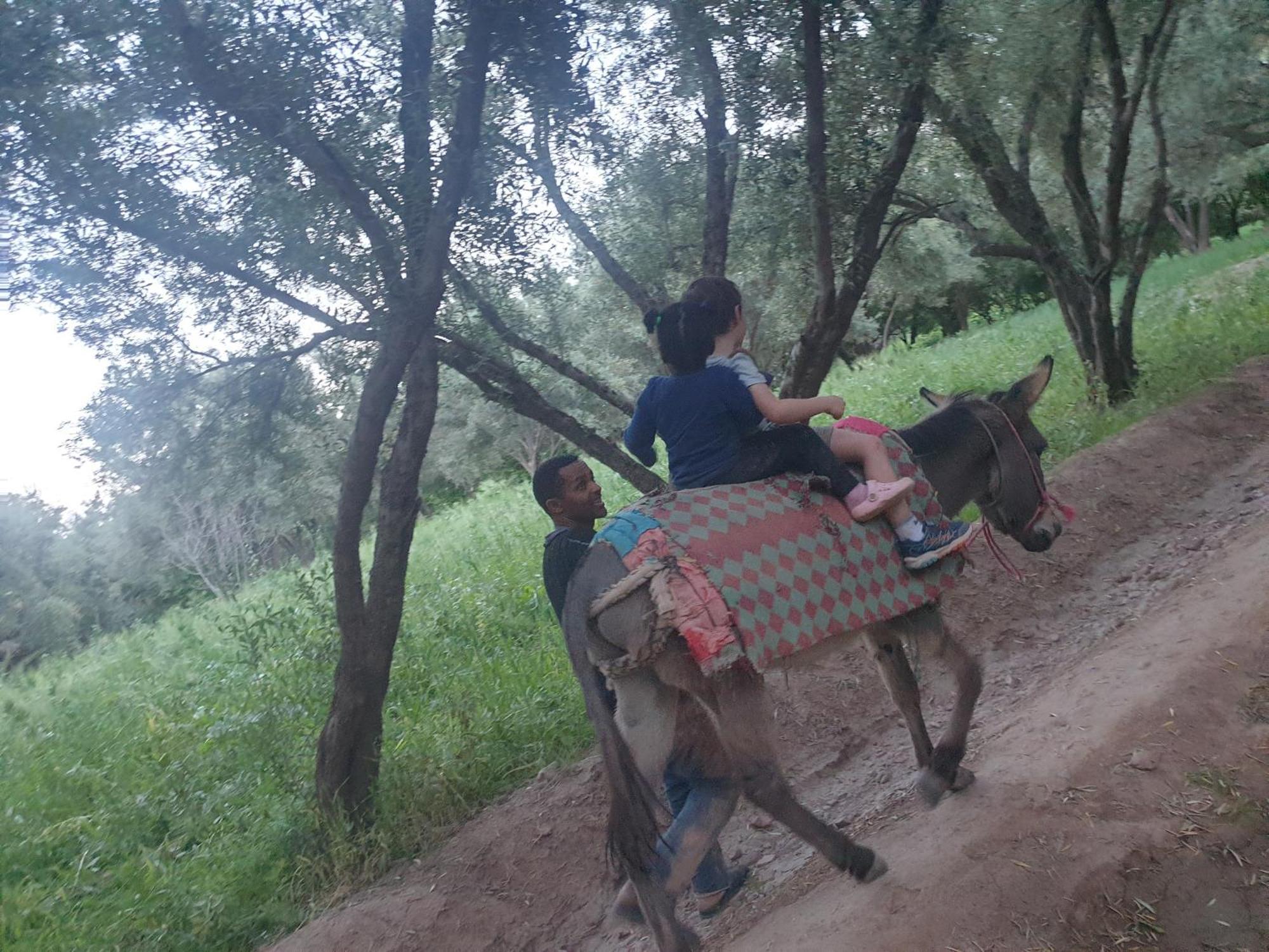 Gite Kasbah La Palmeraie Hotel Skoura Buitenkant foto