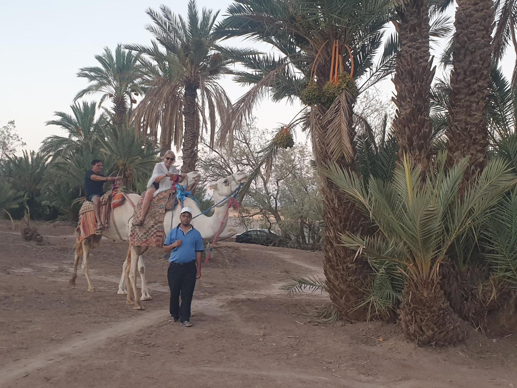 Gite Kasbah La Palmeraie Hotel Skoura Buitenkant foto