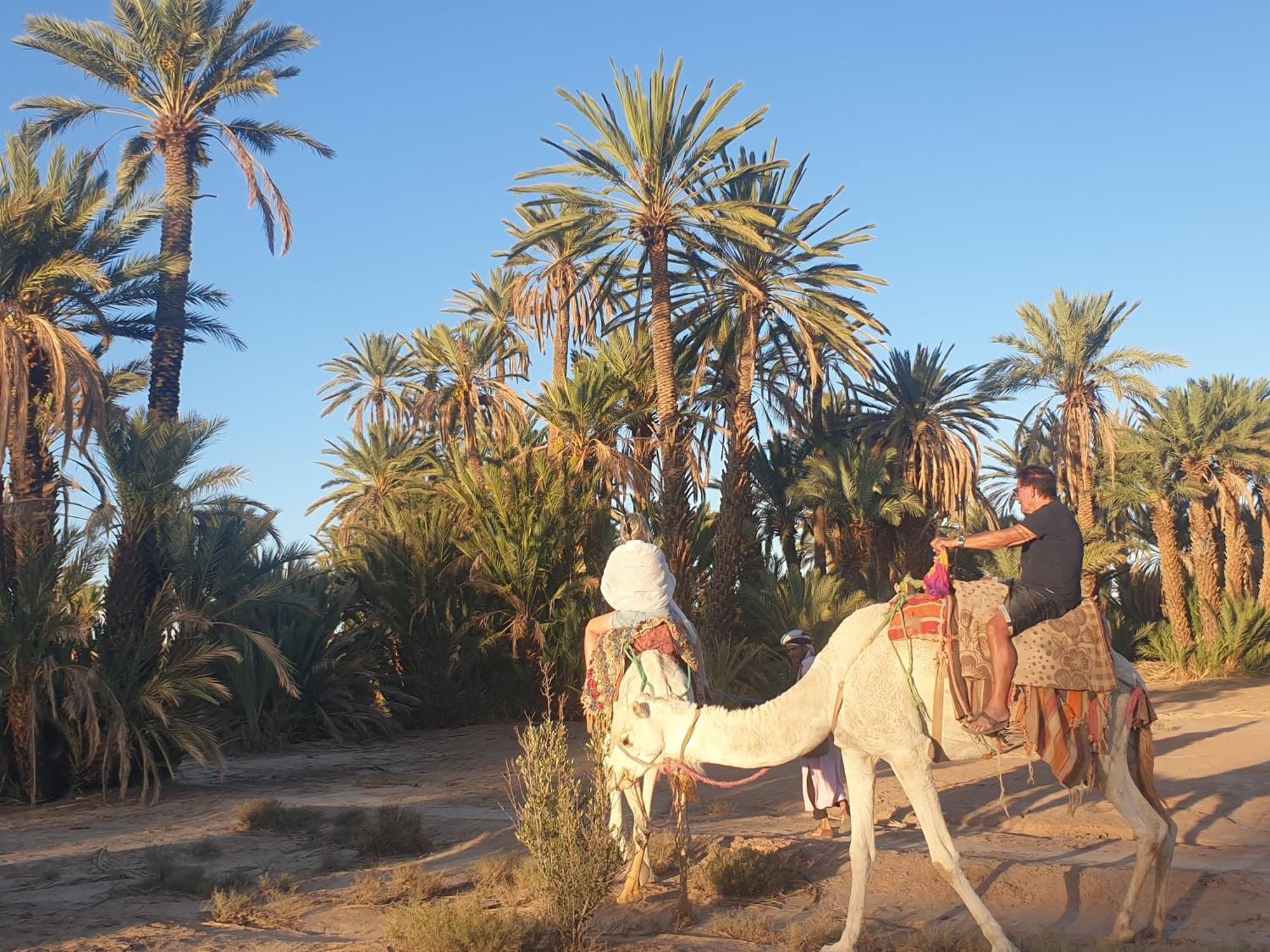 Gite Kasbah La Palmeraie Hotel Skoura Buitenkant foto