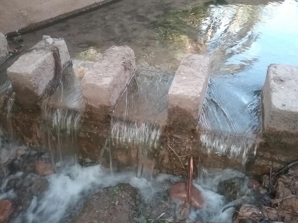 Gite Kasbah La Palmeraie Skoura Buitenkant foto
