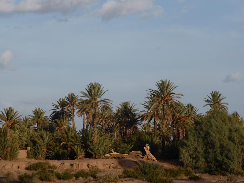 Gite Kasbah La Palmeraie Hotel Skoura Buitenkant foto