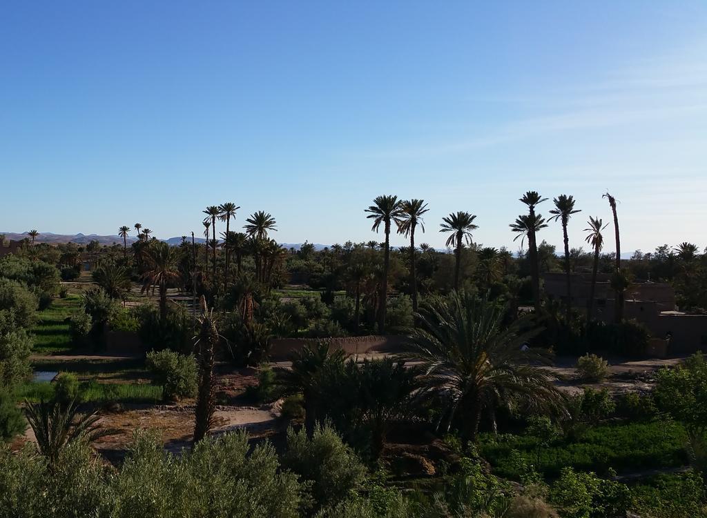 Gite Kasbah La Palmeraie Hotel Skoura Buitenkant foto