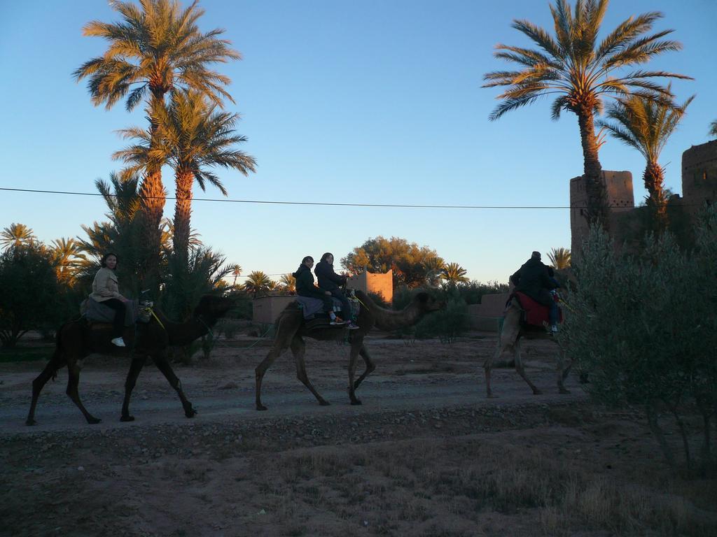 Gite Kasbah La Palmeraie Hotel Skoura Buitenkant foto