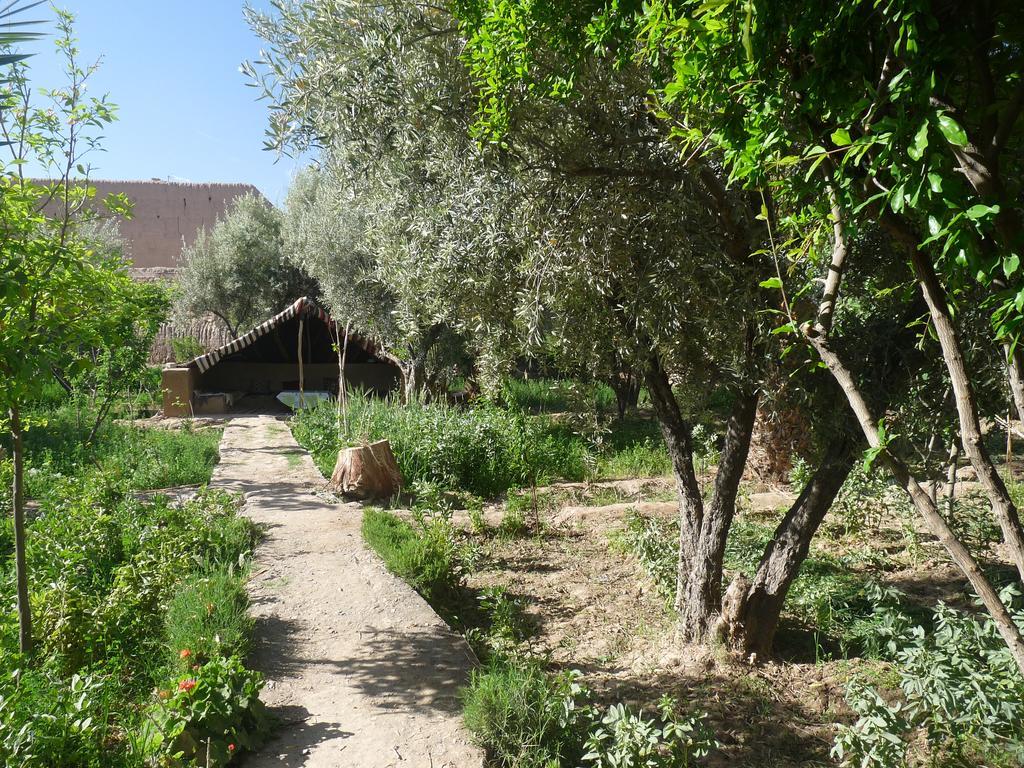 Gite Kasbah La Palmeraie Hotel Skoura Buitenkant foto