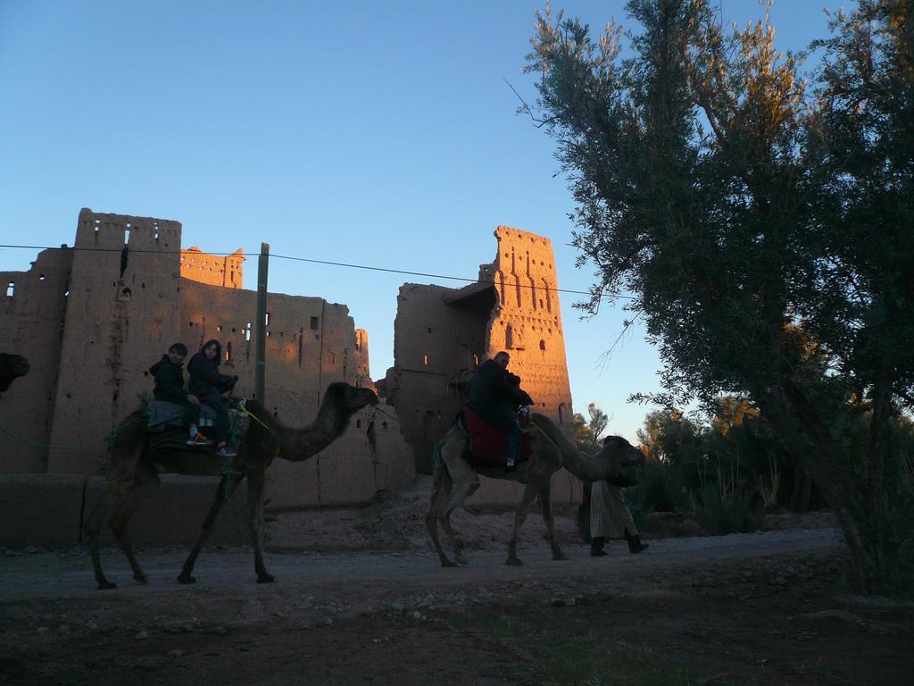 Gite Kasbah La Palmeraie Hotel Skoura Buitenkant foto