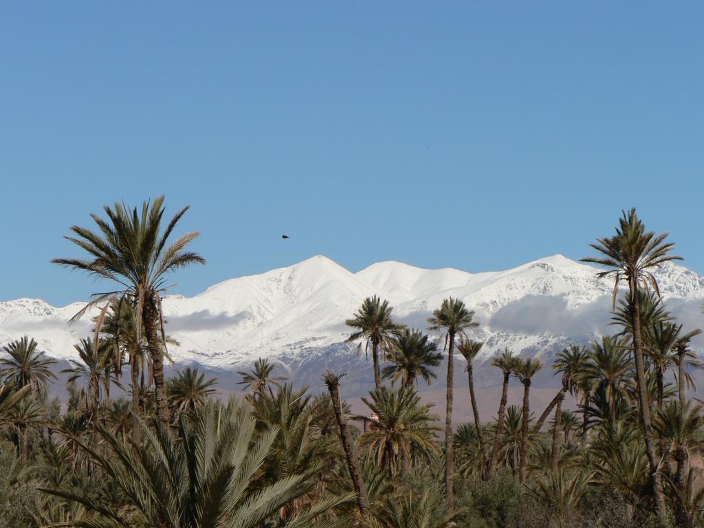 Gite Kasbah La Palmeraie Hotel Skoura Buitenkant foto